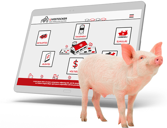 Pig